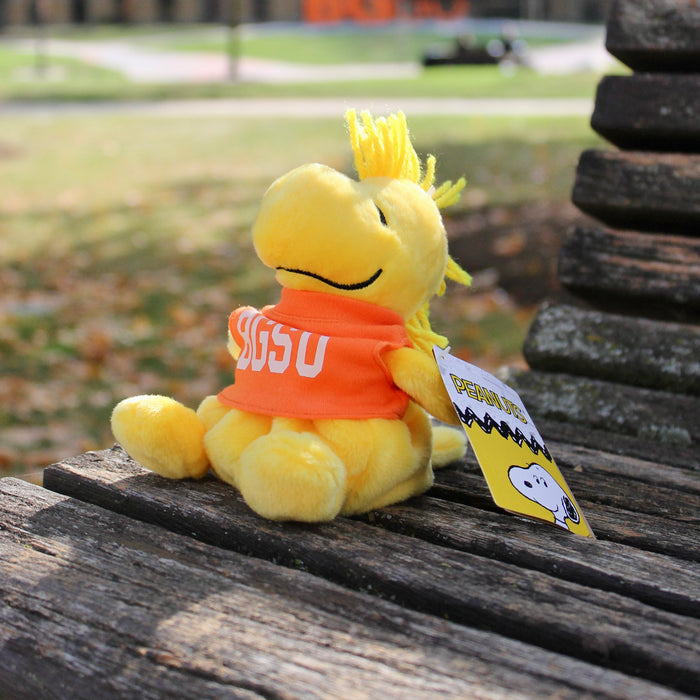 BGSU Woodstock Aurora Palm Pals