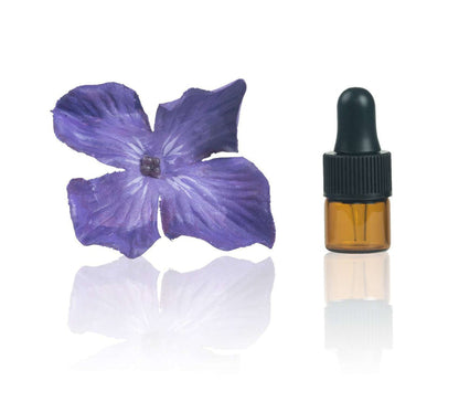 1 ml Amber Glass Vials w/ Black Dropper (Pack of 5) at Your Oil Tools