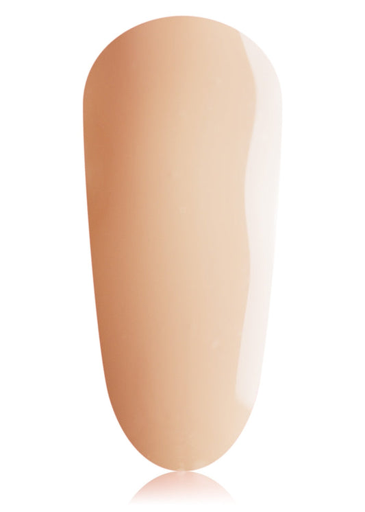 #17 BIAB Mini