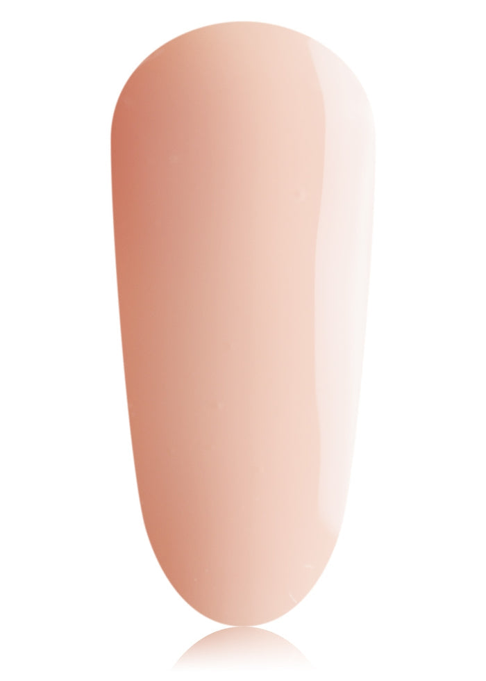 #19 BIAB Mini