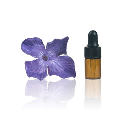 2 ml Amber Glass Vials w/ Black Droppers (Pack of 5) at Your Oil Tools