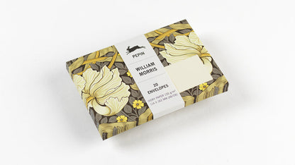 A5 Notepad & Matching Envelopes| The Pepin Press