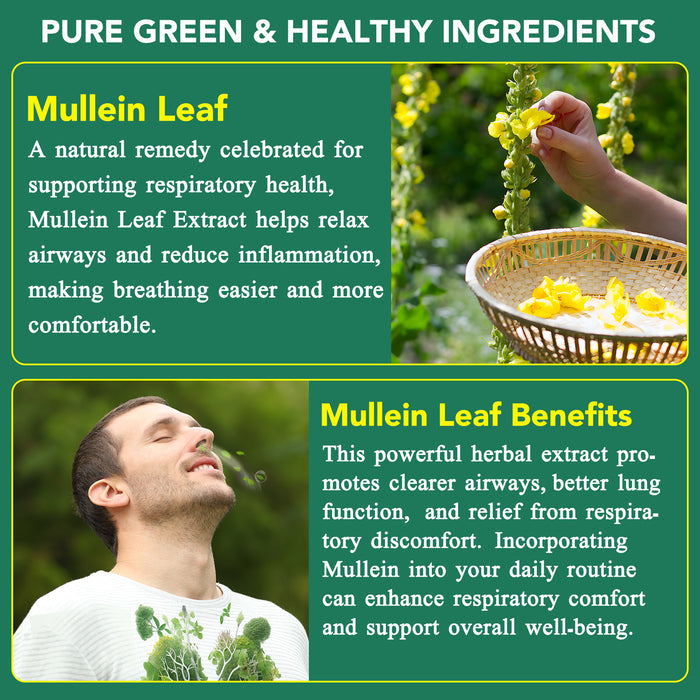 acentiallabs MULLEIN GUMMIES 2000MG PER SERVING 60 GUMMIES Bagged Gummies