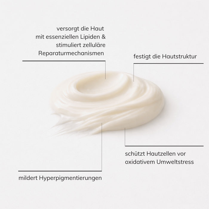 Schaubild zur Wirkweise und Textur des Santaverde age protect cream