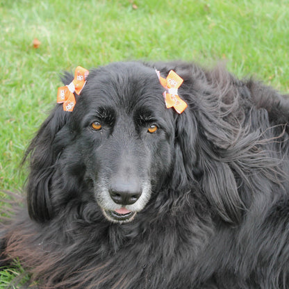All Star Dog BGSU Hair Bow