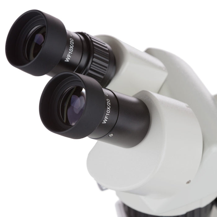 AmScope 10X-30X Multi-Power Pillar Stand Stereo Microscope with Top & Bottom LED Lights