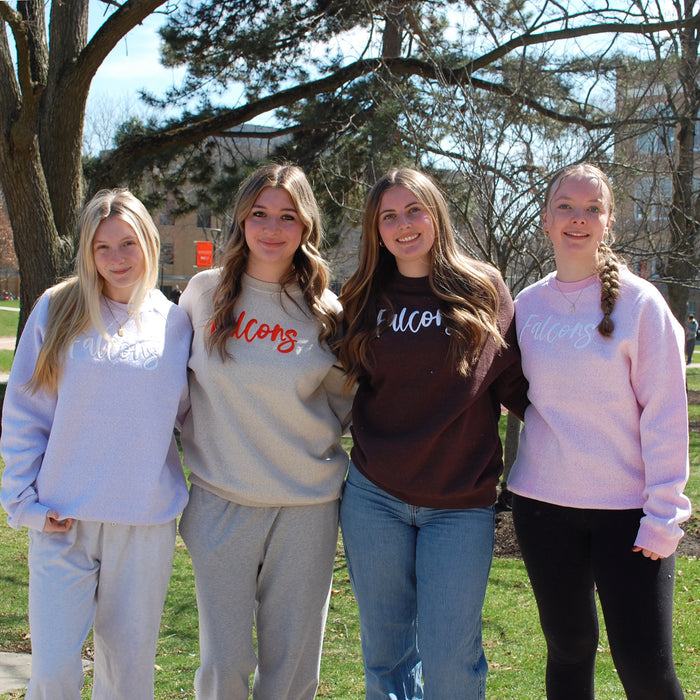Artisans Falcons Bennett Raglan Crew