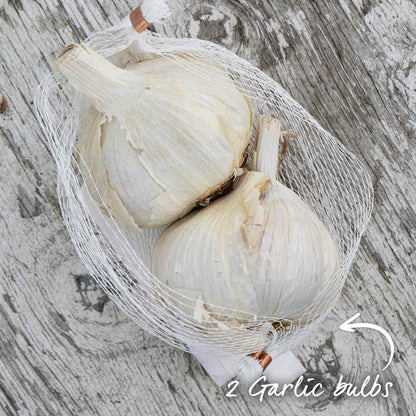 Garlic Bulbs 'Rhapsody Wight'