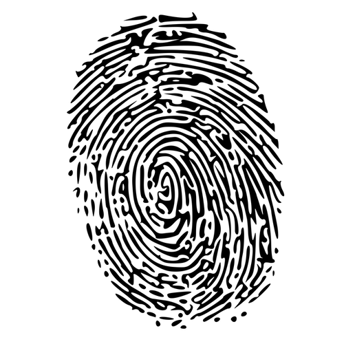 BCI Background Check