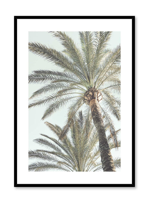 Below the Palms, Poster