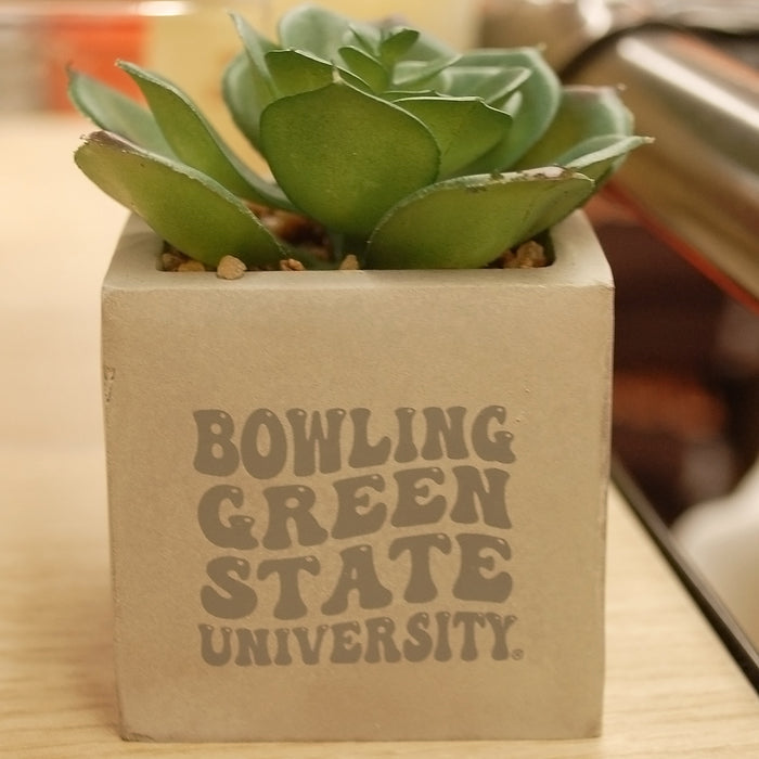 BGSU Mini Faux Potted Succulent
