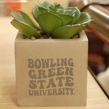 BGSU Mini Faux Potted Succulent