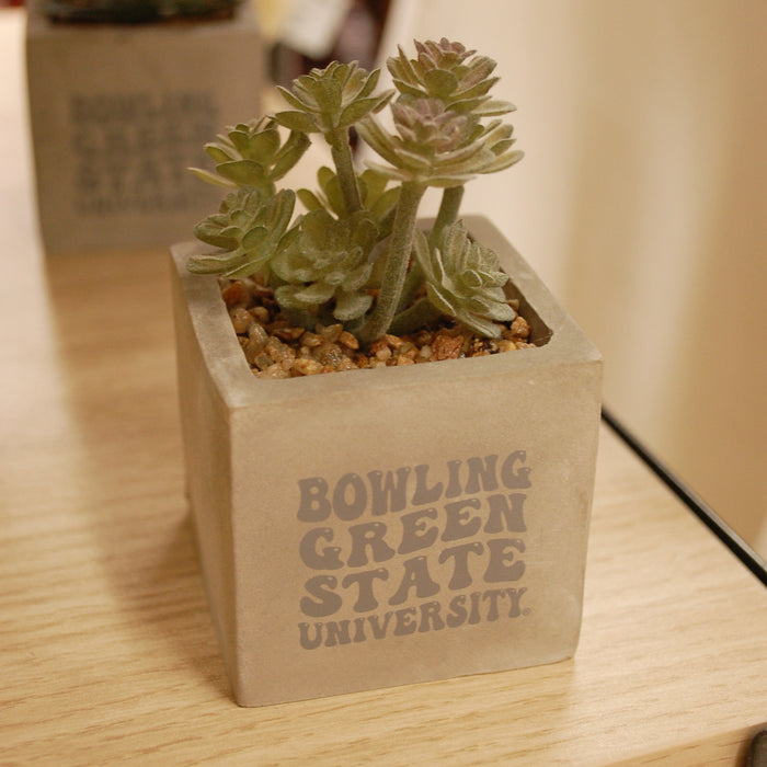 BGSU Mini Faux Potted Succulent