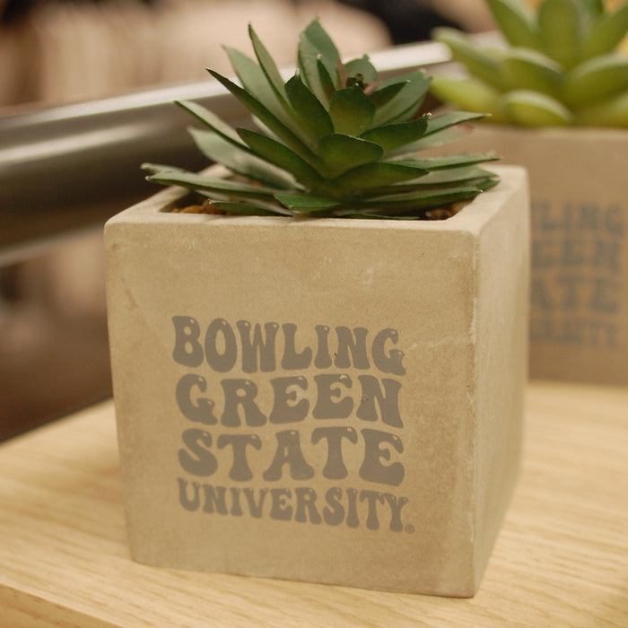 BGSU Mini Faux Potted Succulent
