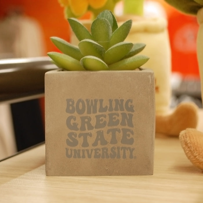 BGSU Mini Faux Potted Succulent