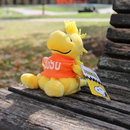 BGSU Woodstock Aurora Palm Pals