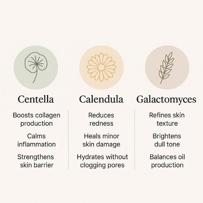 centella-calendula-galactomyces-skincare-benefits-infographic_721c0181-48a3-475f-9160-11fc809ecd8a - Delune