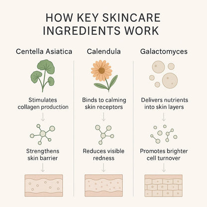 Centella Asiatica 100% Skin Extract - Delune