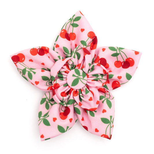 Star-shaped hair bow with cherry pattern on a white background