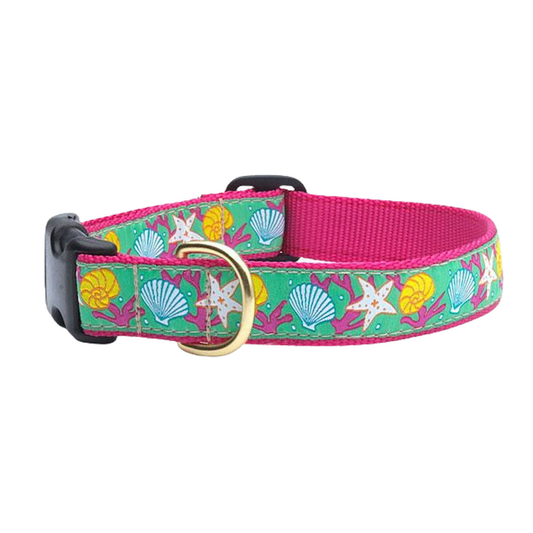 REEF-DOG-COLLAR