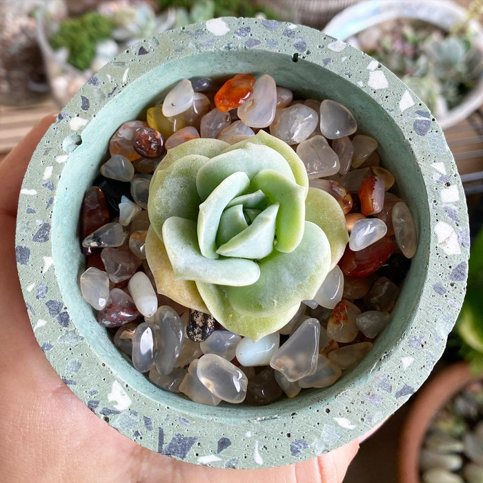 Decorative Ornamental Pebbles Stones, Clear Cloudy, 5mm - 8mm