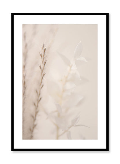 "Dreamy Sprigs" is a botanical photography poster by Opposite Wall of close-up white flowers and delicate brown sprigs.