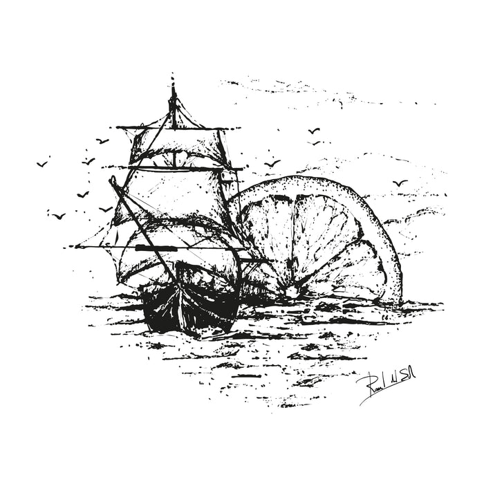 Raúl del Sol Egnaro