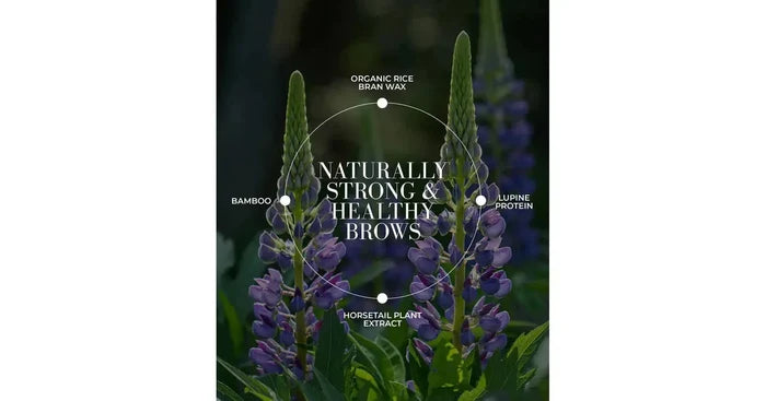 Fitglow Plant Protein Brow Gel - Medium Brown (4g)