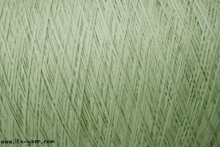 021 Cabbage