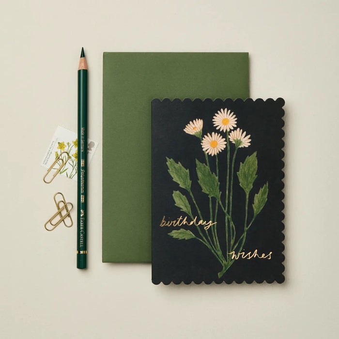Botanical Daisy “Birthday Wishes"
