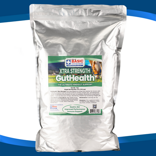 GutHealth Xtra Strength Pellets