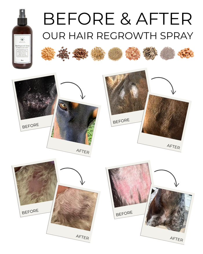 Hair Regrowth Spray for Dogs & Horses
