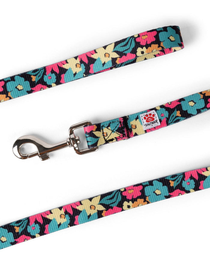 Holidaze Dog Lead
