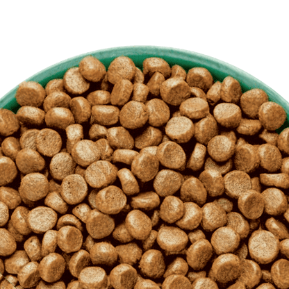 White background with a green bowl pictured filled with cat food kibbles.