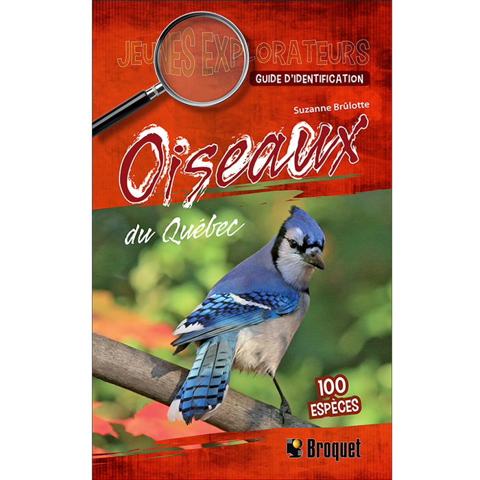 Jeunes Explorateurs Oiseaux du Québec - Guide d’identification (Brûlotte)