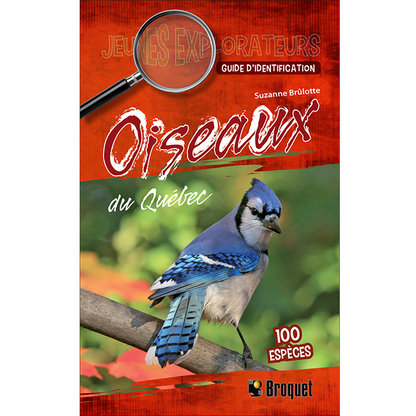 Jeunes Explorateurs Oiseaux du Québec - Guide d’identification (Brûlotte)