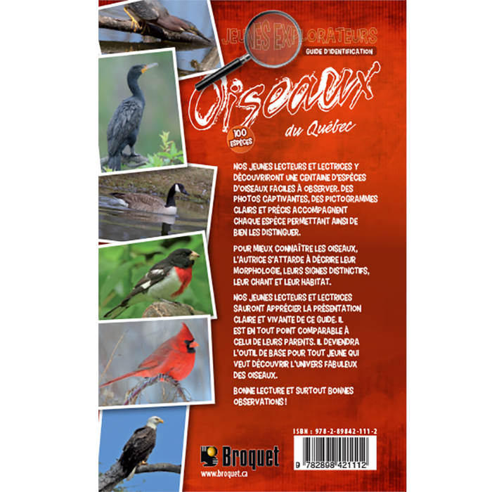 Jeunes Explorateurs Oiseaux du Québec - Guide d’identification (Brûlotte)