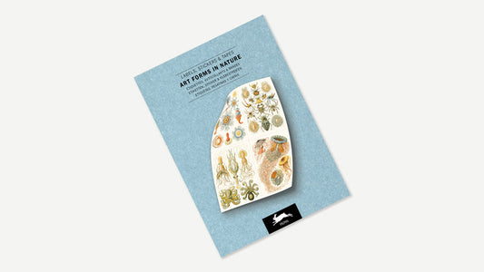 Labels, Stickers & Tapes | The Pepin Press