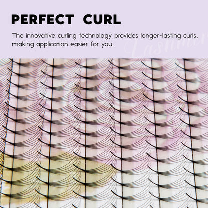 XL tray-Short Stem Premade Fans | Lashmer | C, D Curl--10D - 20 Lines - 480 Fans, Ultra Black - Lashmer