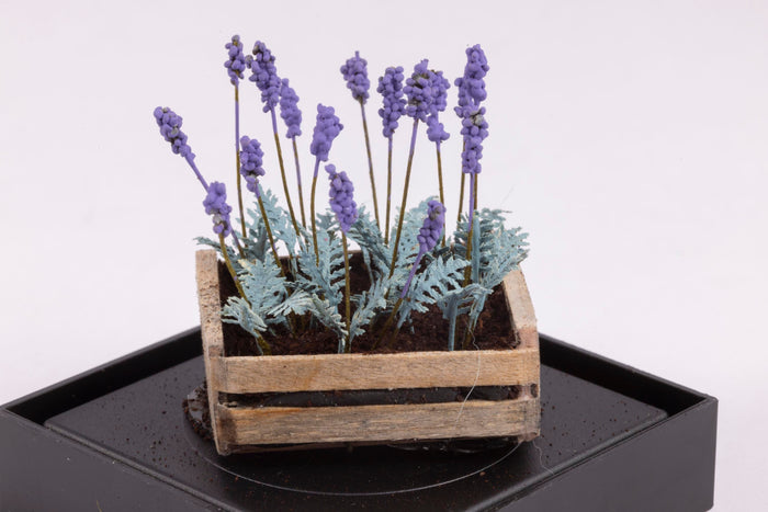 Lavender Flowers in a Crate by Paula Gilhooley