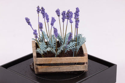 Lavender Flowers in a Crate by Paula Gilhooley