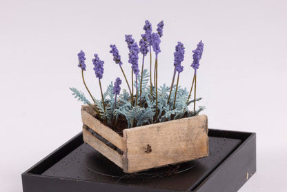Lavender Flowers in a Crate by Paula Gilhooley