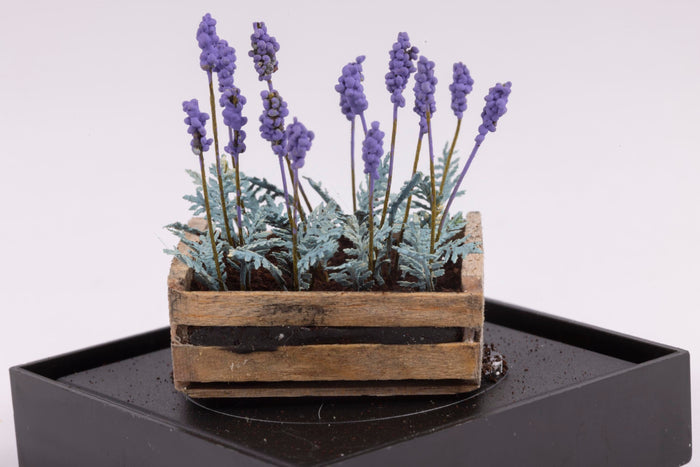 Lavender Flowers in a Crate by Paula Gilhooley