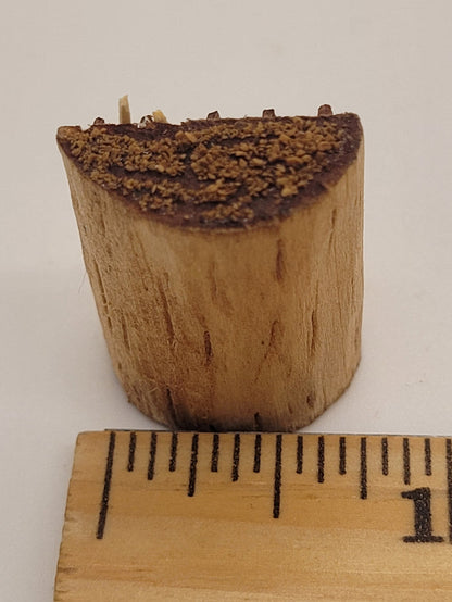 Little Figurine in Wood Stump Toy