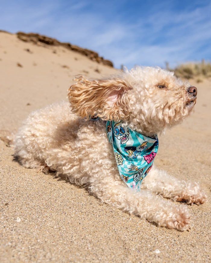 Lush Waves Dog Bandana in Light Blue