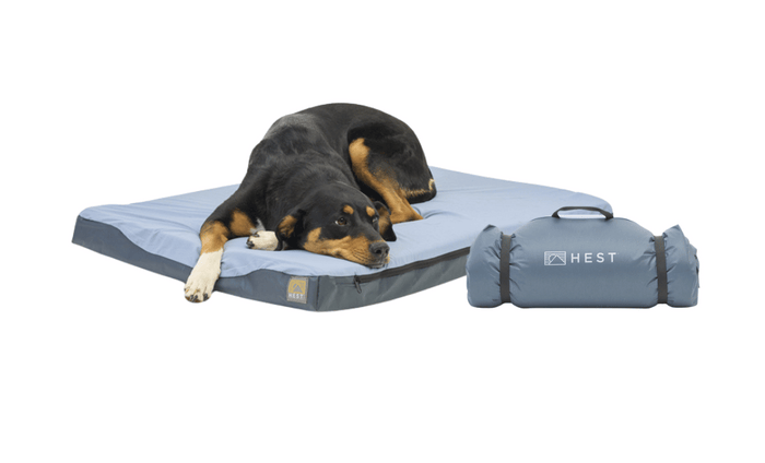 Large Dog Bed BLEM