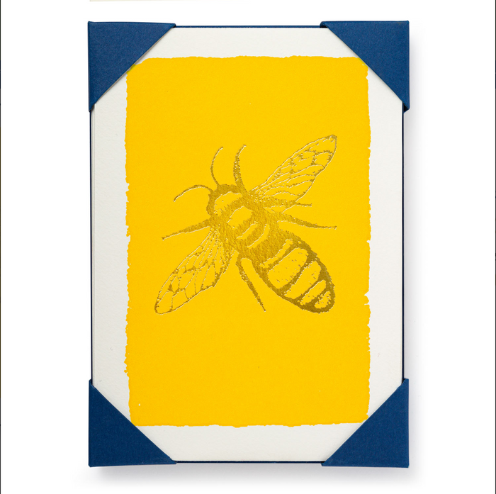 Notelets Pack of 5 | Archivist Gallery