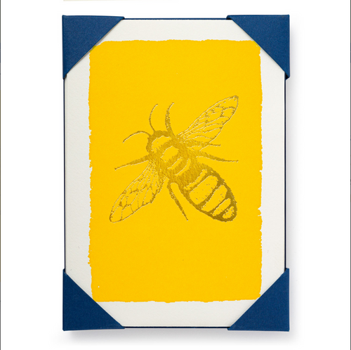 Notelets Pack of 5 | Archivist Gallery