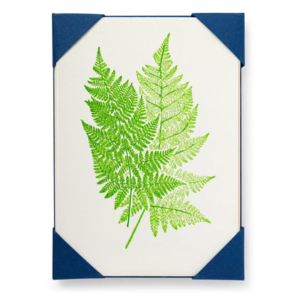 Notelets Pack of 5 | Archivist Gallery
