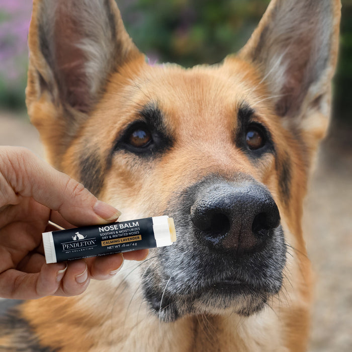 PENDLETON-NOSE-BALM-GROOMING-WELLNESS
